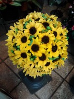 /album/galleria-foto-bouquet/a2011-11-10-12-14-20-jpg/